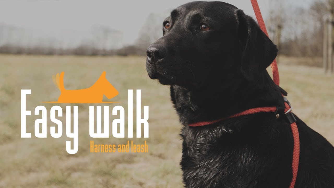 Easy Walk Handheld Red - Mini