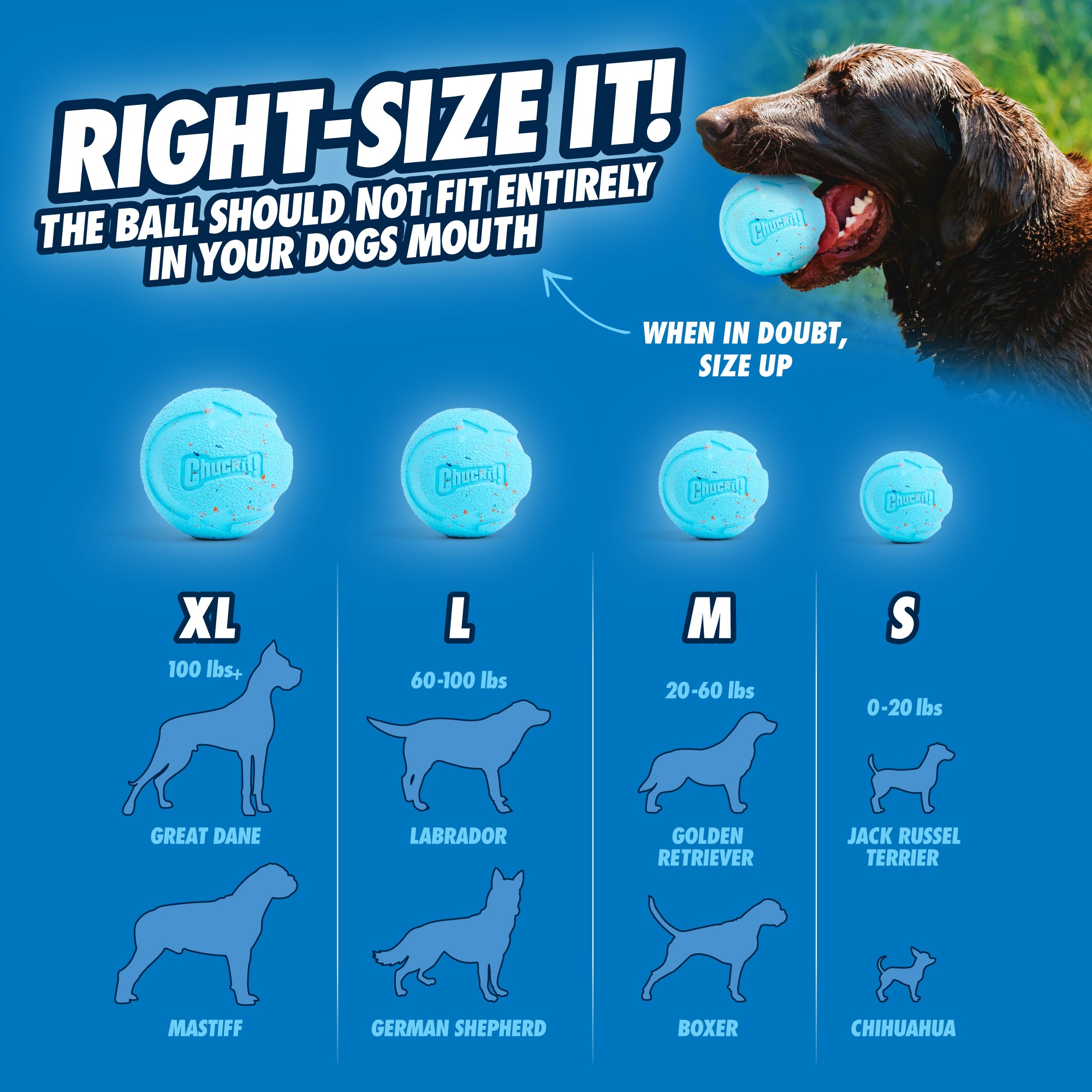 Chuckit! Rebounce Fetch Ball M (2-pack)