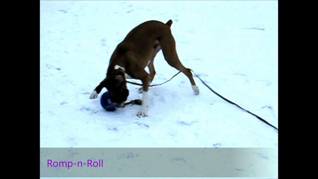Jolly Romp-n-Roll Vanilla M (15 cm)