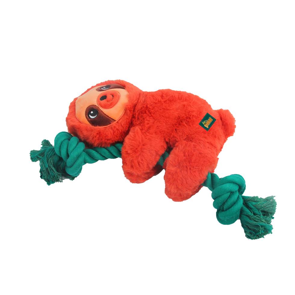 AFP Safari - Rope Cuddle Bradypod