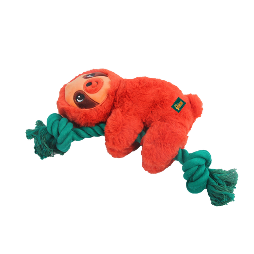 AFP Safari - Rope Cuddle Bradypod