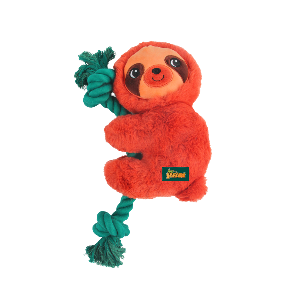 AFP Safari - Rope Cuddle Bradypod
