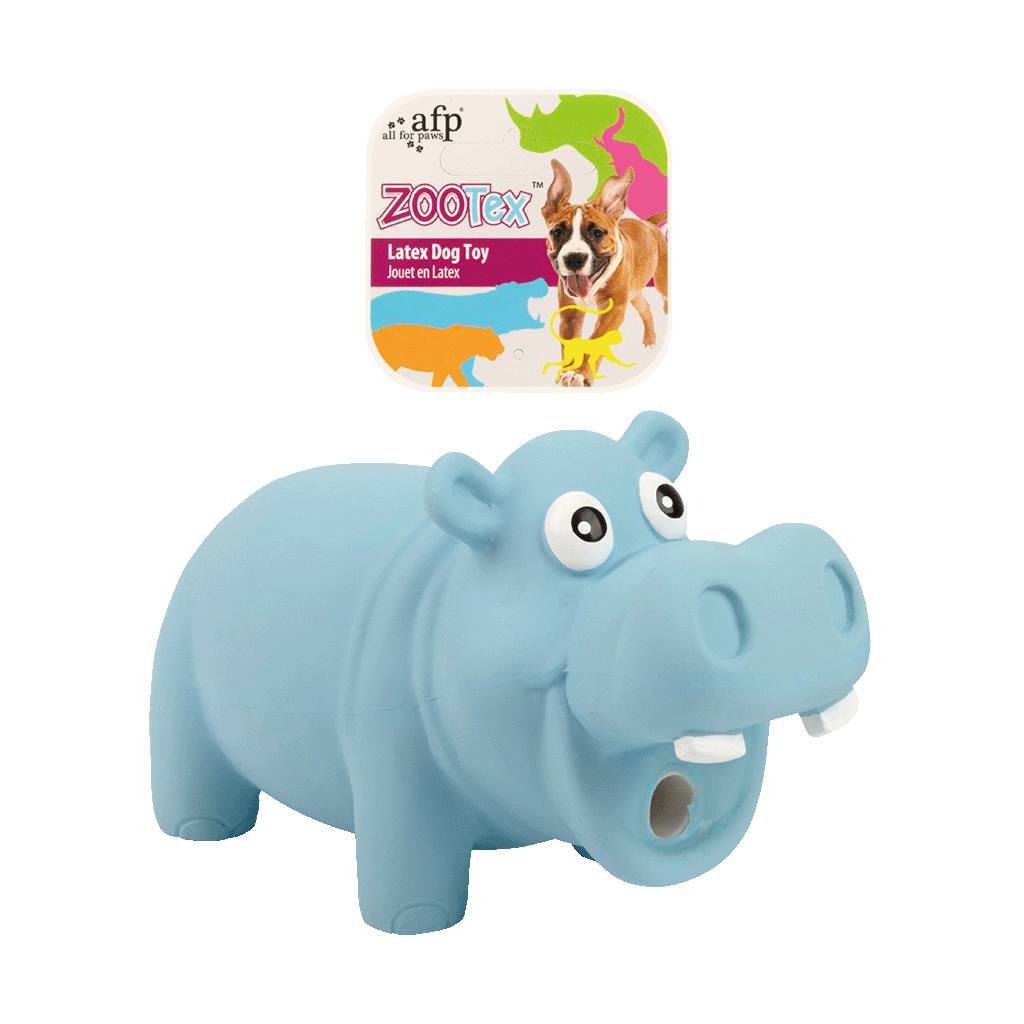 AFP ZooTex Hector the Hippo