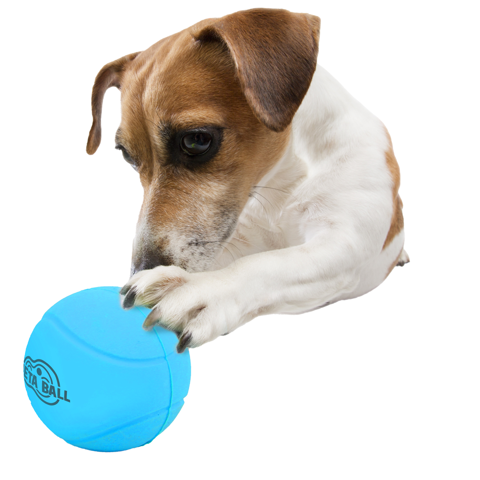 AFP Meta Ball - Bounce & Rattle Ball 