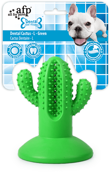 AFP Dental Chews - Dental Cactus
