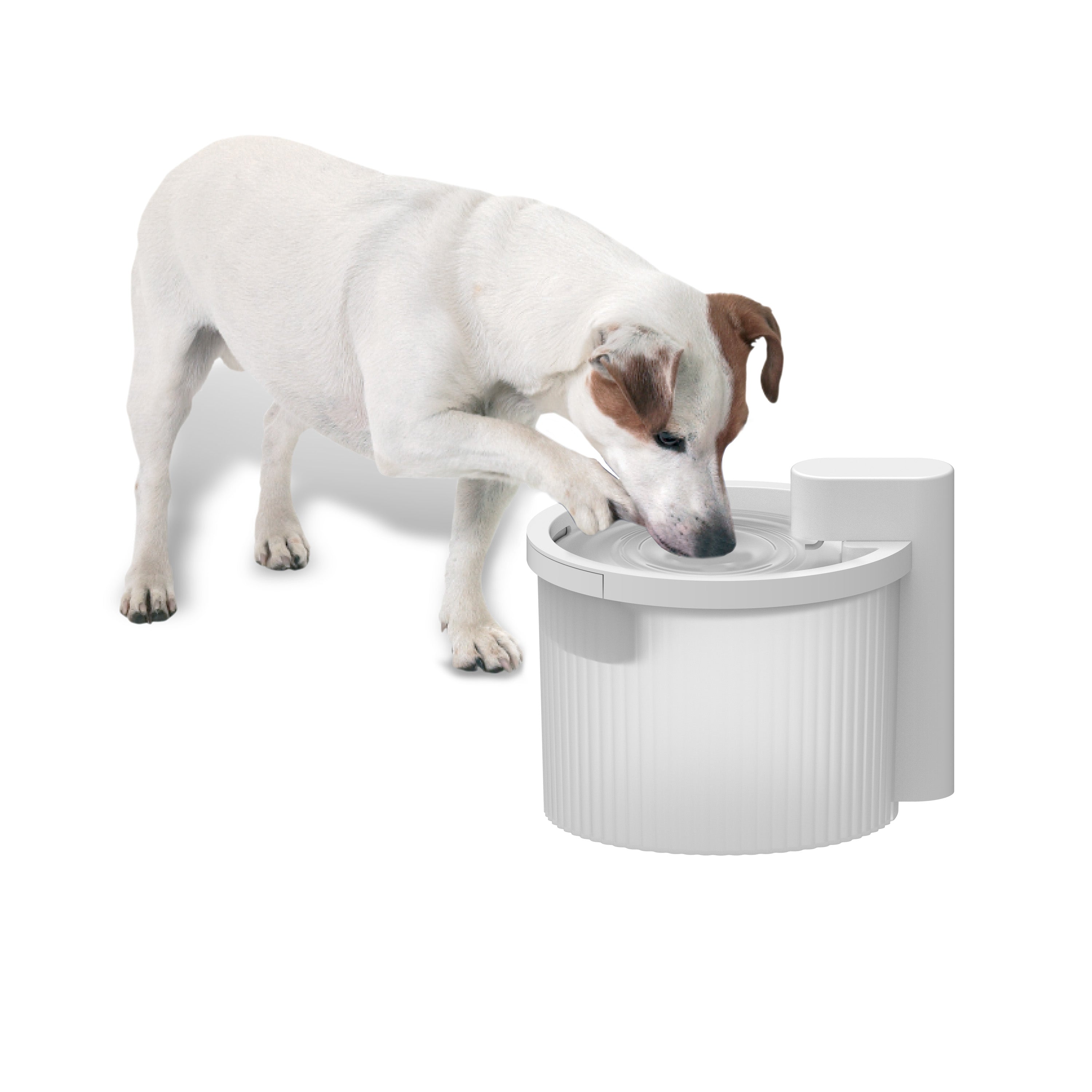 AFP Lifestyle 4 Pets Wireless Fountain 