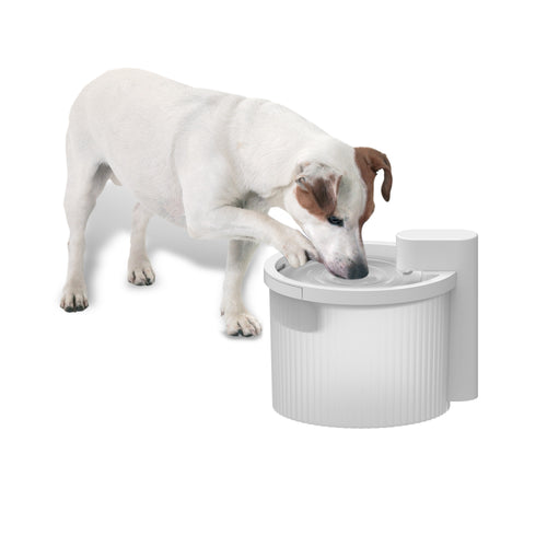 AFP Lifestyle 4 Pets Wireless Fountain 