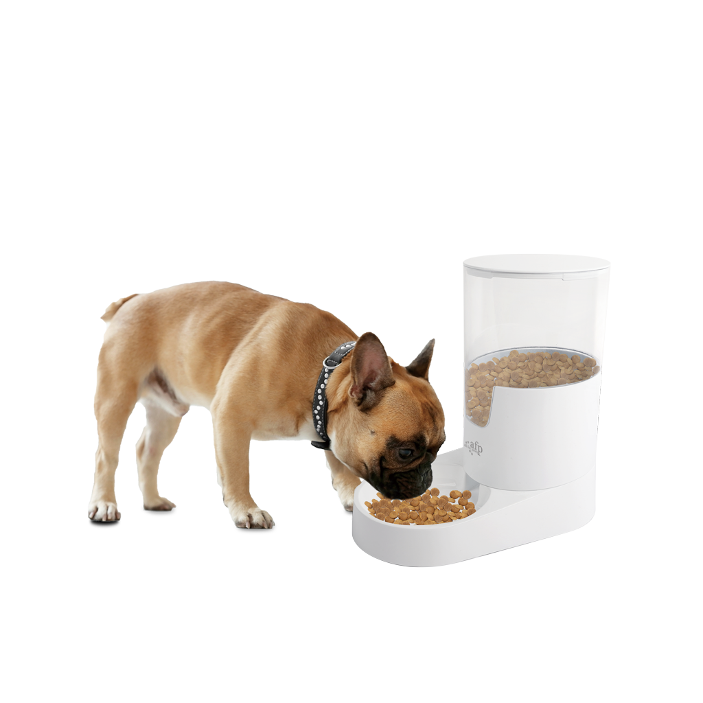 AFP Lifestyle 4 Pets Gravity Pet Food Feeder 