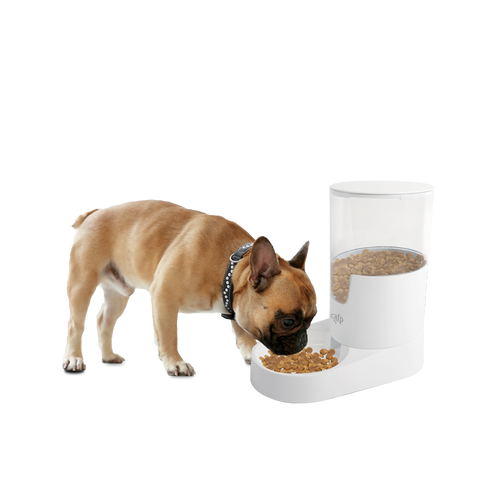 AFP Lifestyle 4 Pets Gravity Pet Food Feeder 