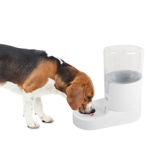 AFP Lifestyle 4 Pets Gravity Pet Waterer 
