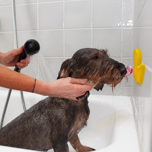 AFP Calm Paws - Bath Anti-anxiety Duck 
