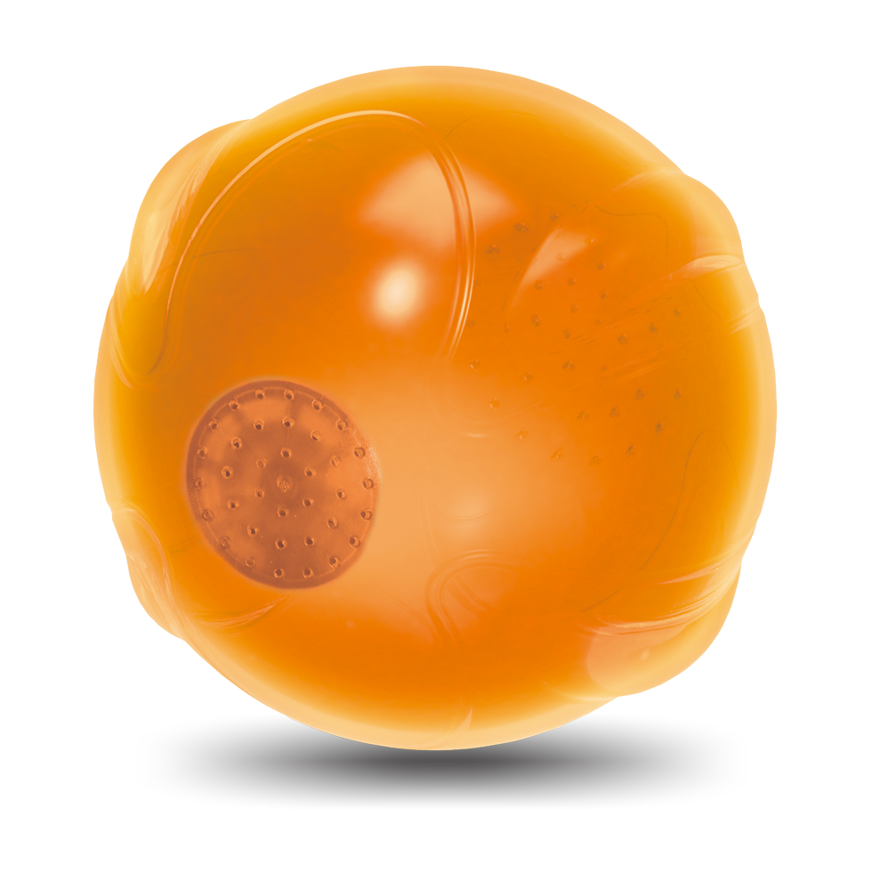 AFP Zen Pet-Anti Anxiety Speaking ball 