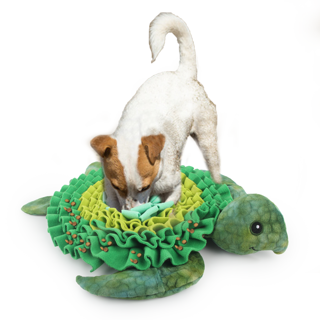 AFP  Dig It - Treat Mat Sea turtle