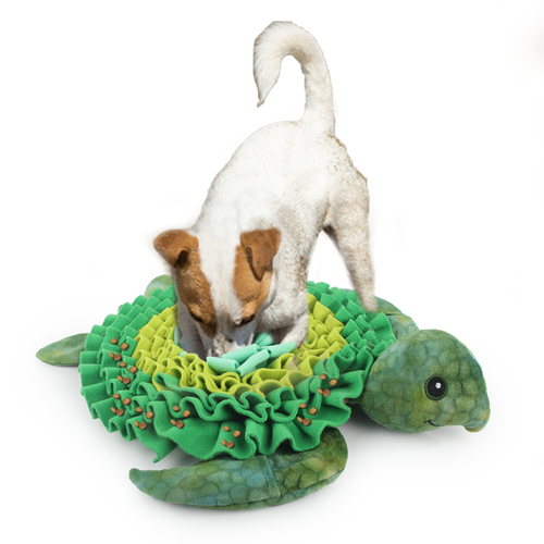 AFP  Dig It - Treat Mat Sea turtle