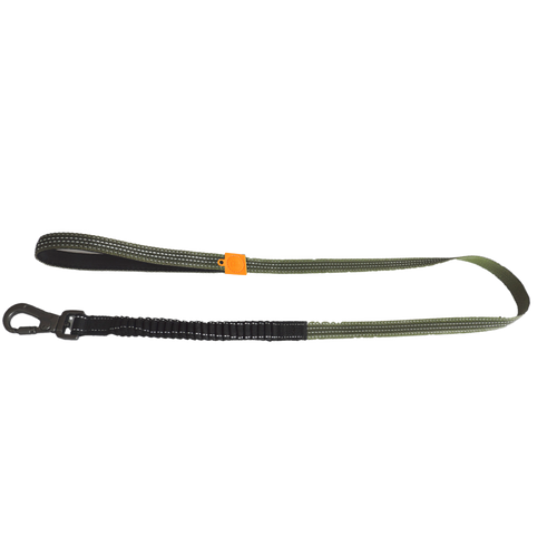 AFP Off Street - Dog Leash