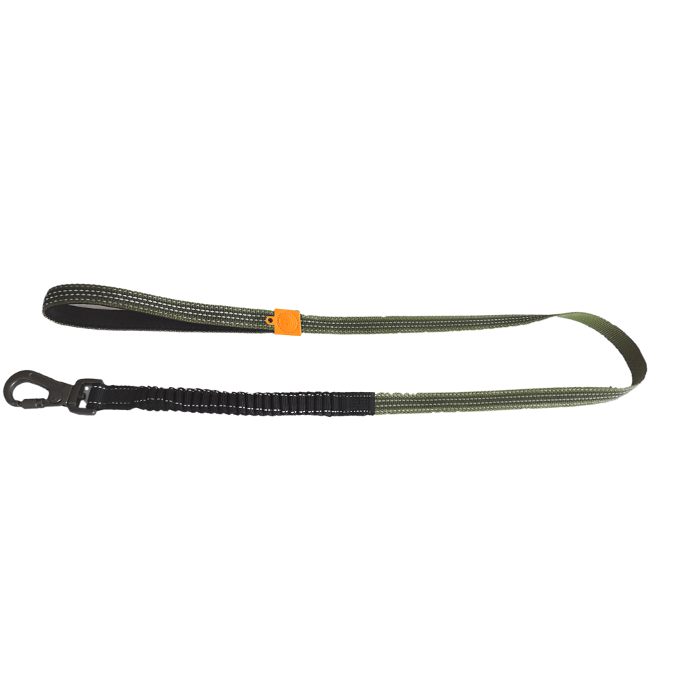 AFP Off Street - Dog Leash