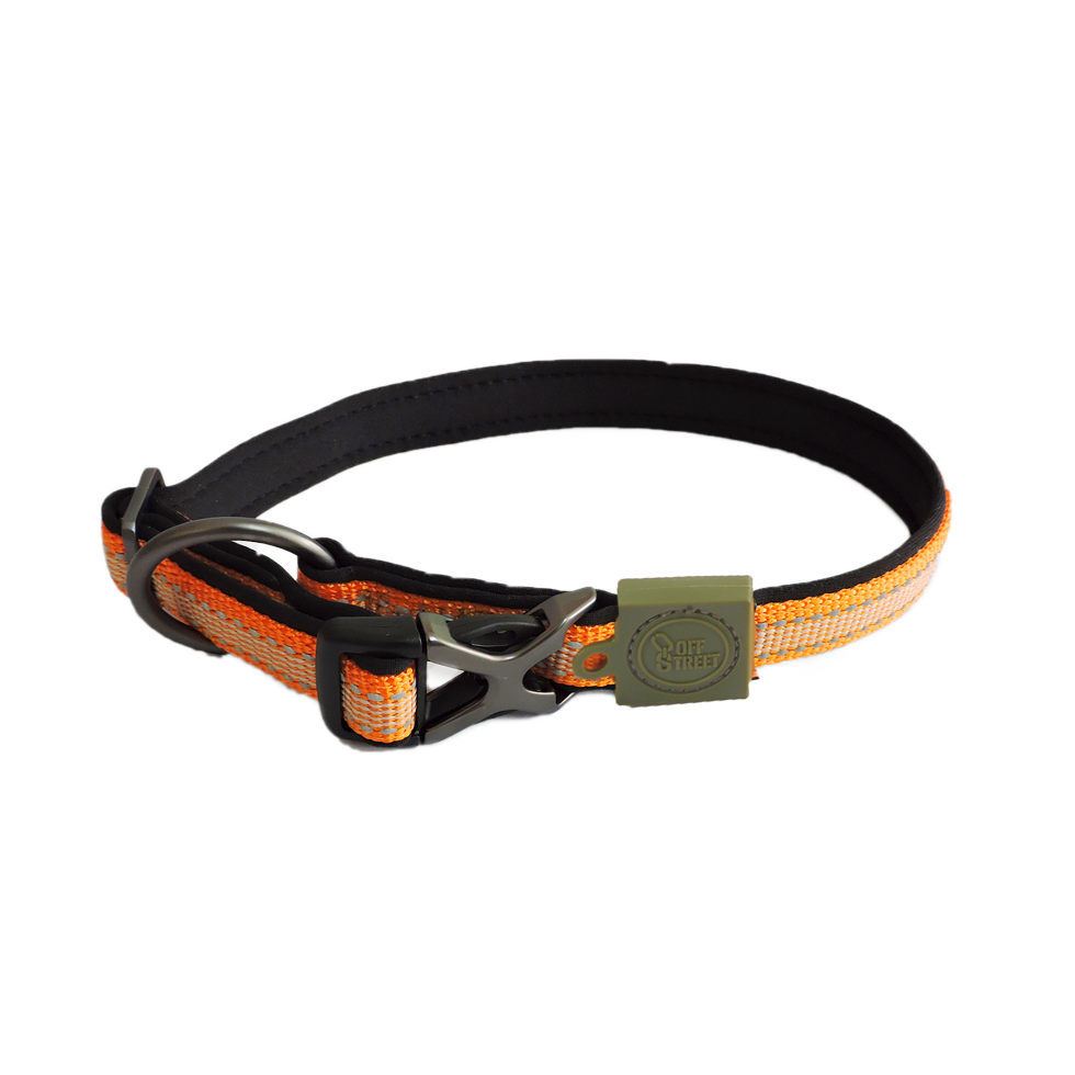 AFP Off Street - Dog Collar