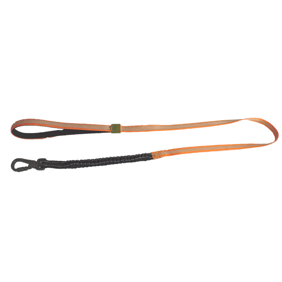 AFP Off Street - Dog Leash