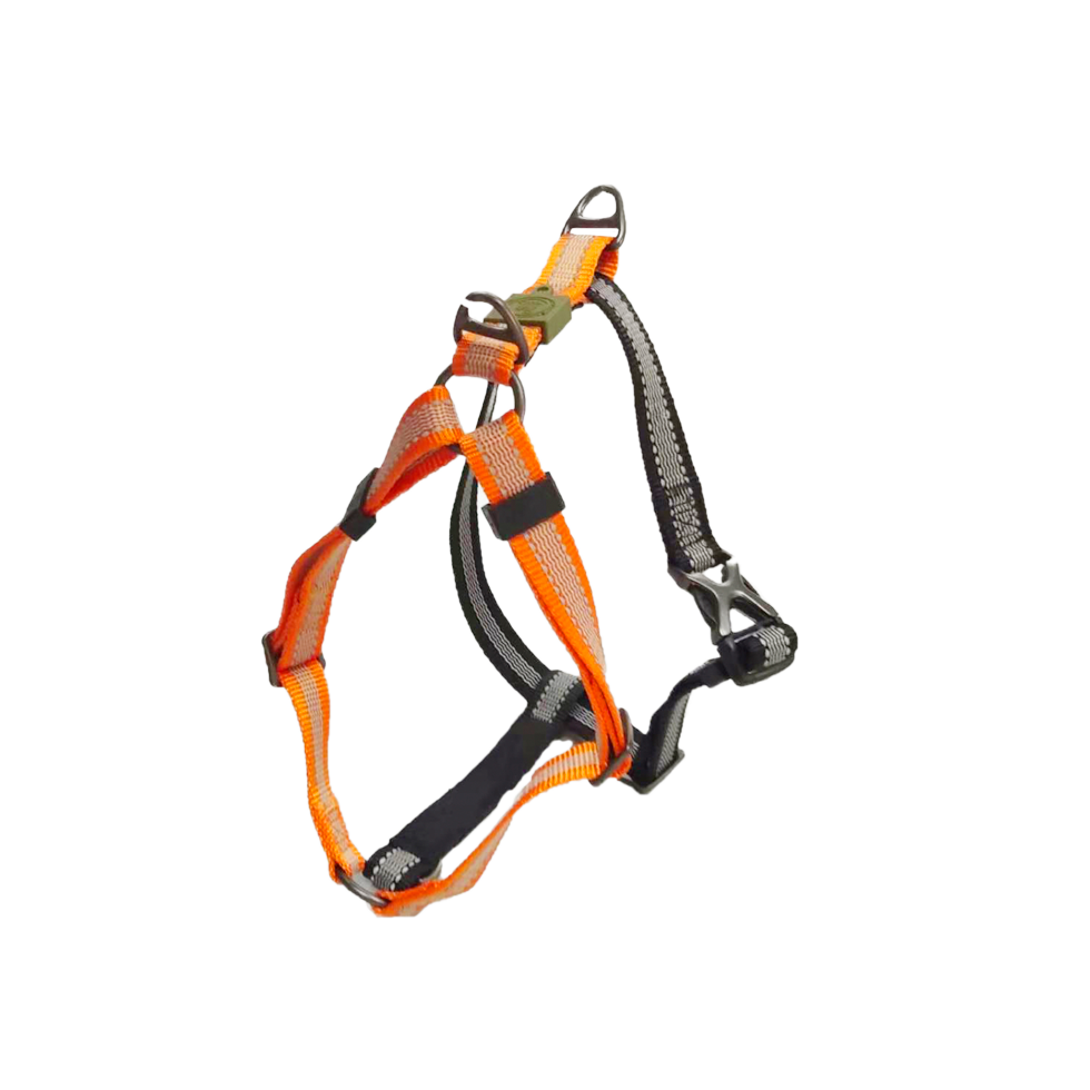 AFP Off Street - Dog Non-Pull Harness