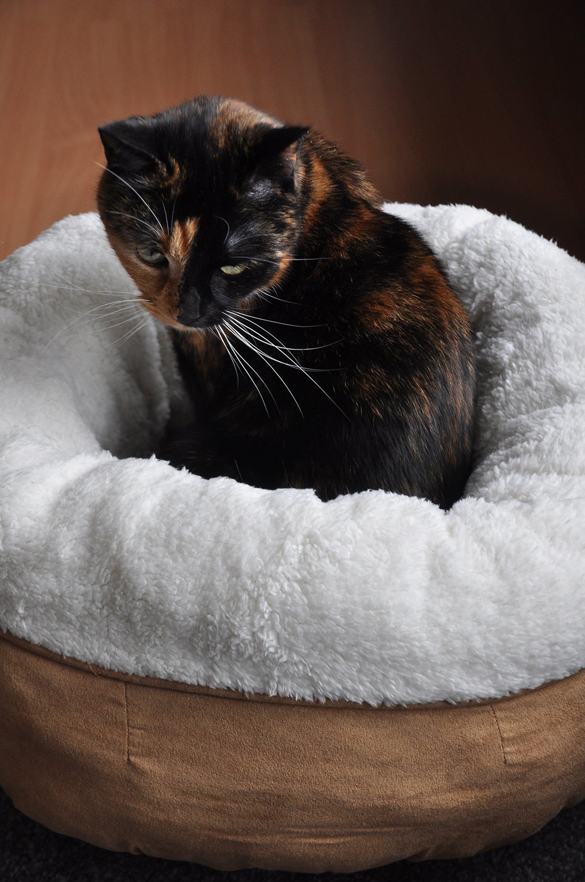 AFP Lambswool - Donut Bed