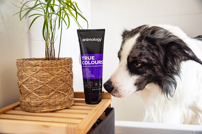 Animology True Colours Dog Shampoo 