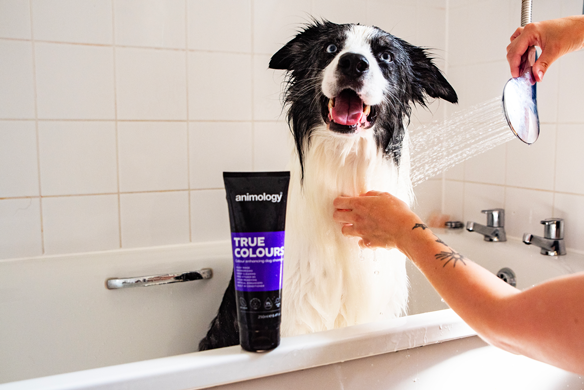 Animology True Colours Dog Shampoo 