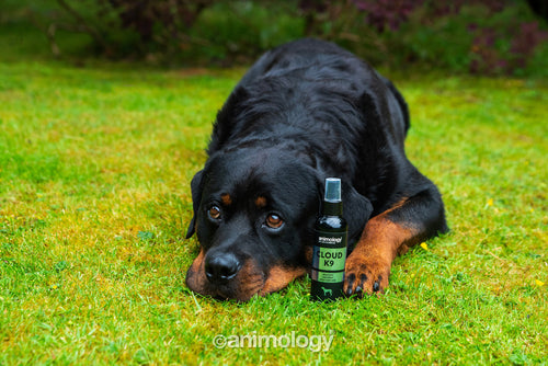 Animology Cloud K9 Body Mist 150 ml