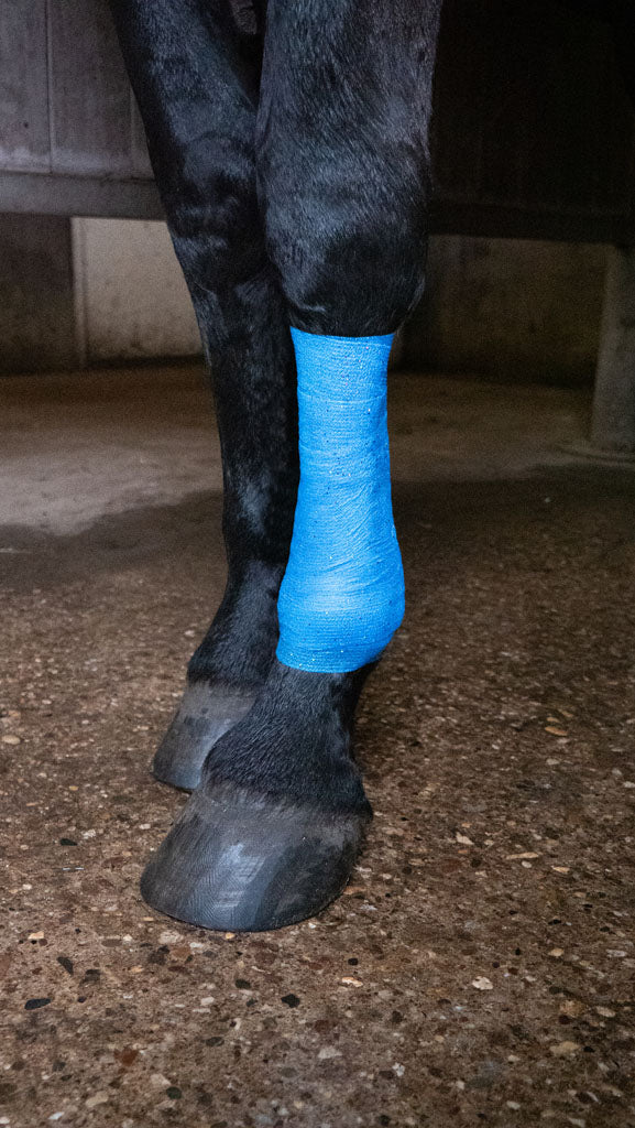 Excellent Animal Glitter Bandage Pro