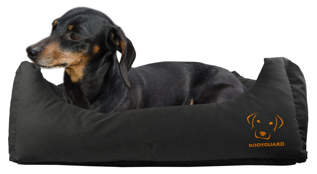 Bodyguard Sofa Bed