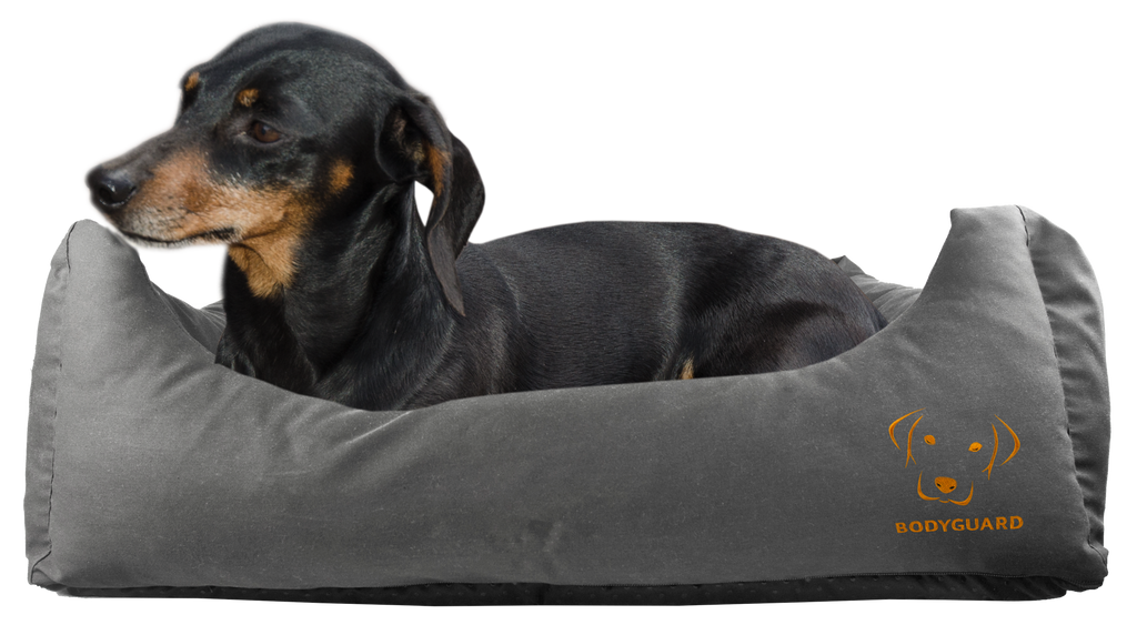 Bodyguard Sofa Bed