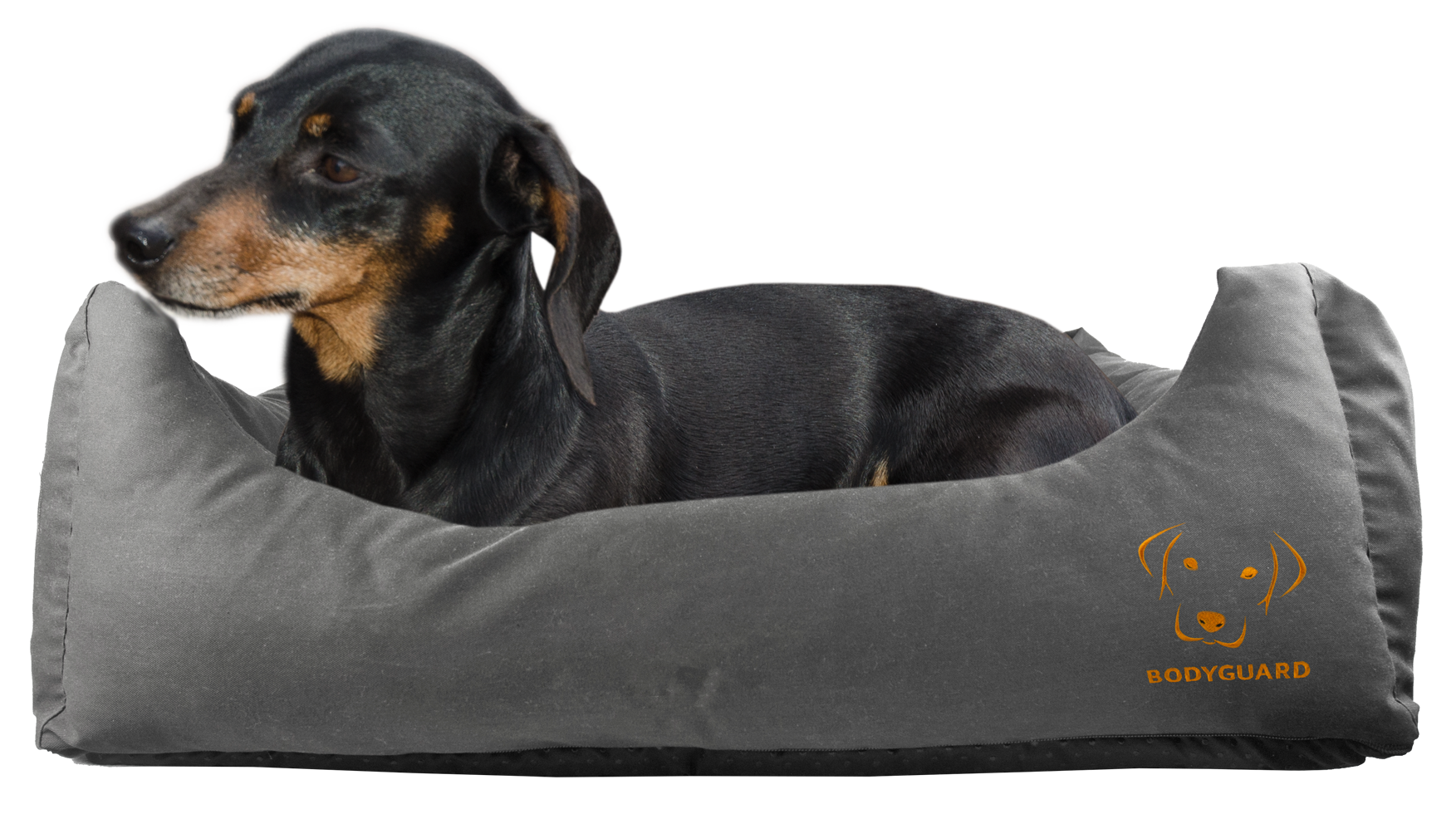 Bodyguard Sofa Bed