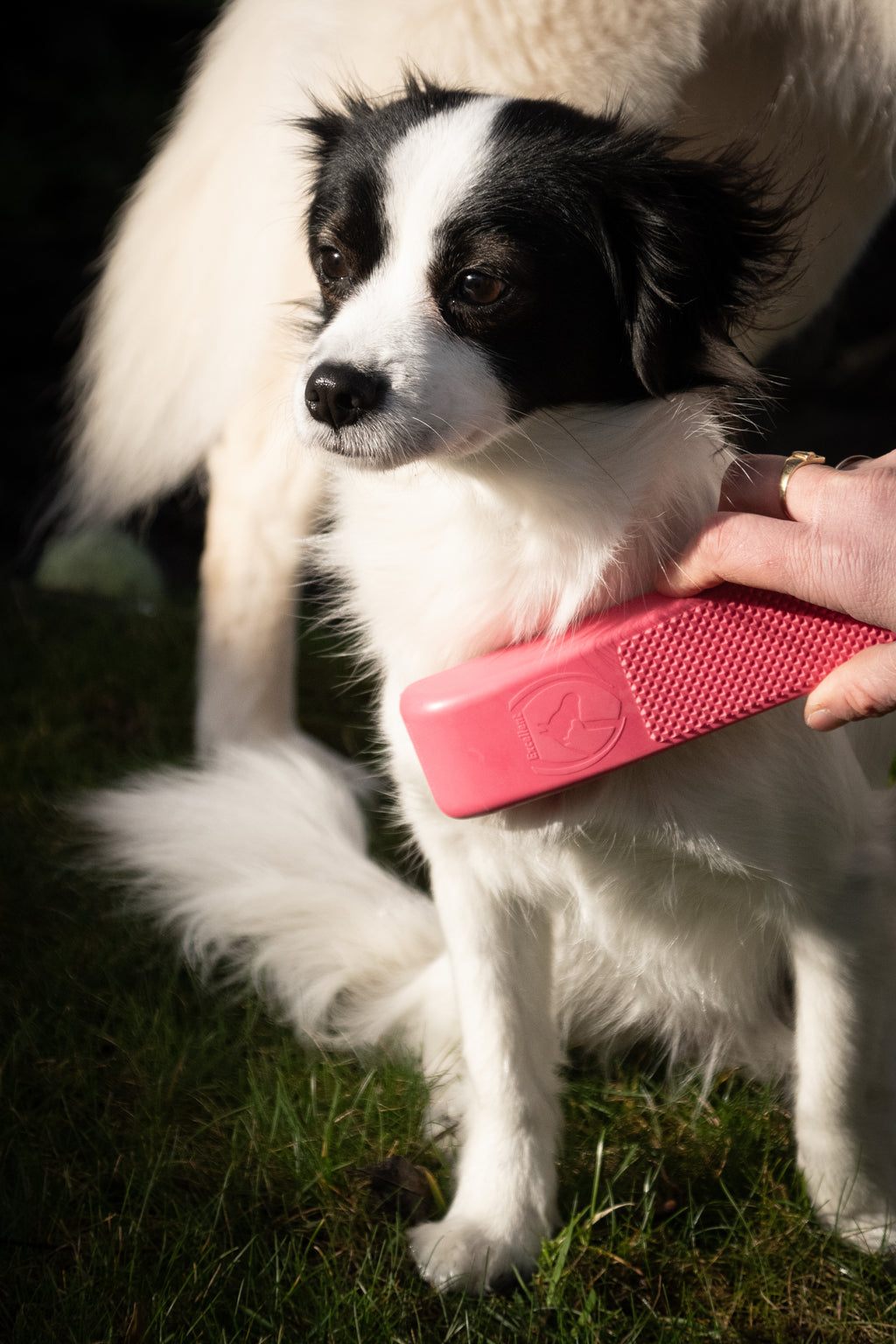 Excellent Pets Grooming Brush