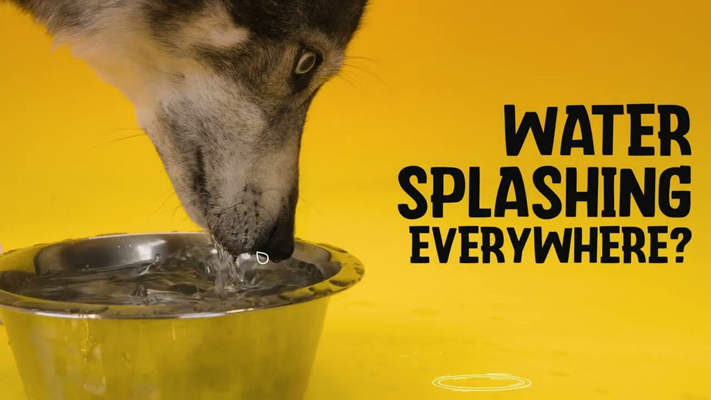 Excellent Pets No-Spill Bowl 800ml Antracite M