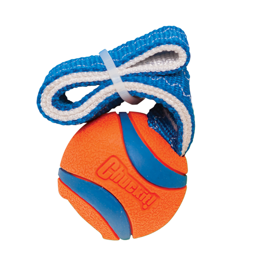 Chuckit! Ultra Tug
