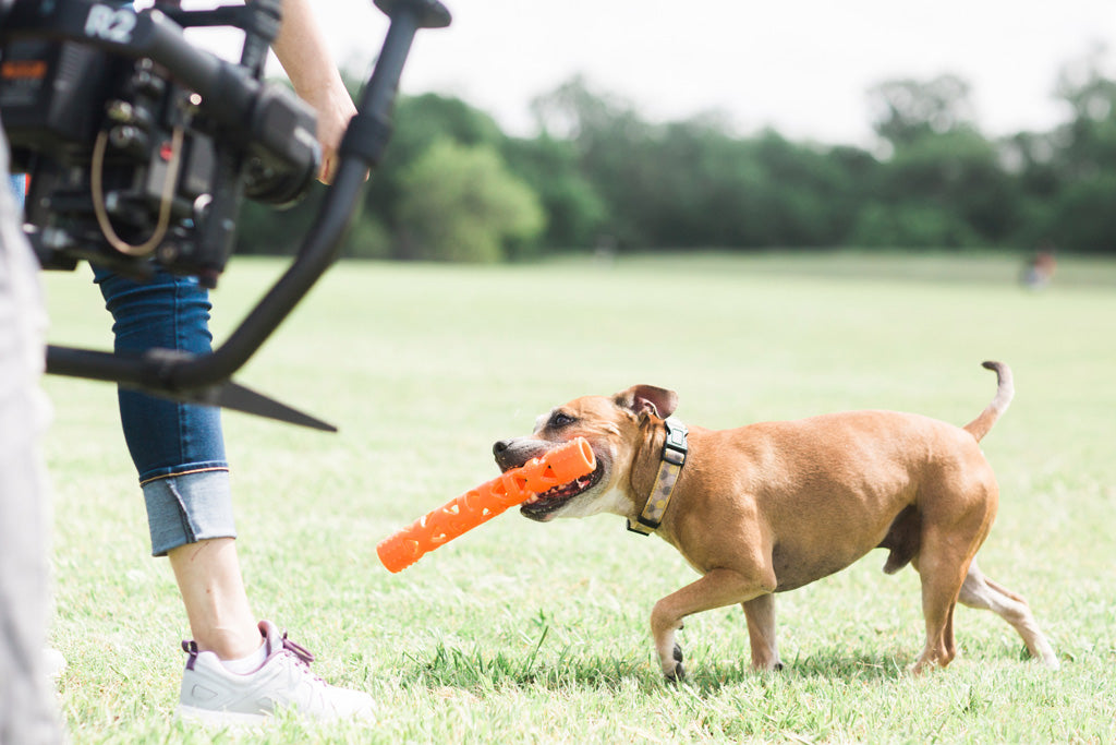 Chuckit! Air Fetch Stick 