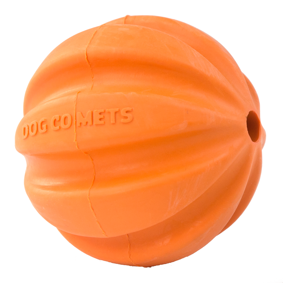 Dog Comets Swift Tuttle Orange
