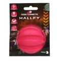 Dog Comets Halley Pink