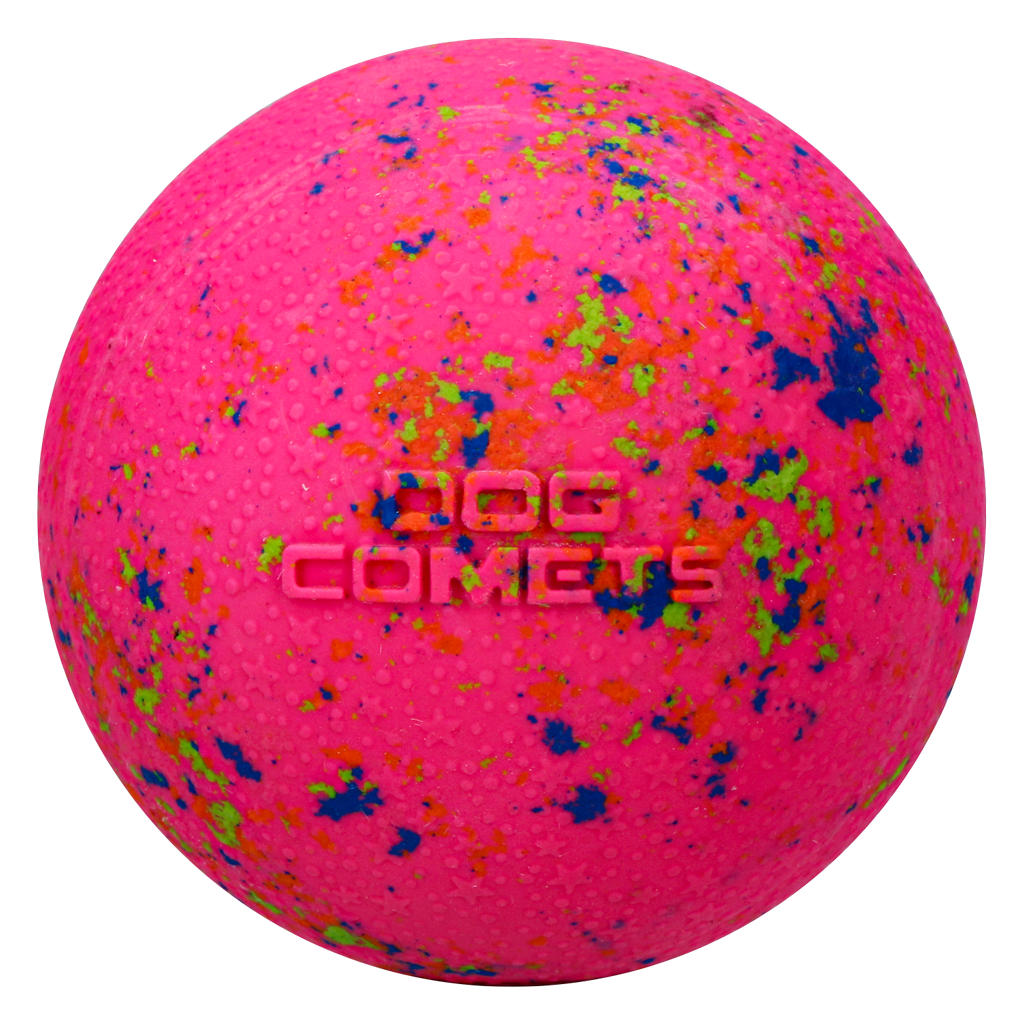 Dog Comets Stardust