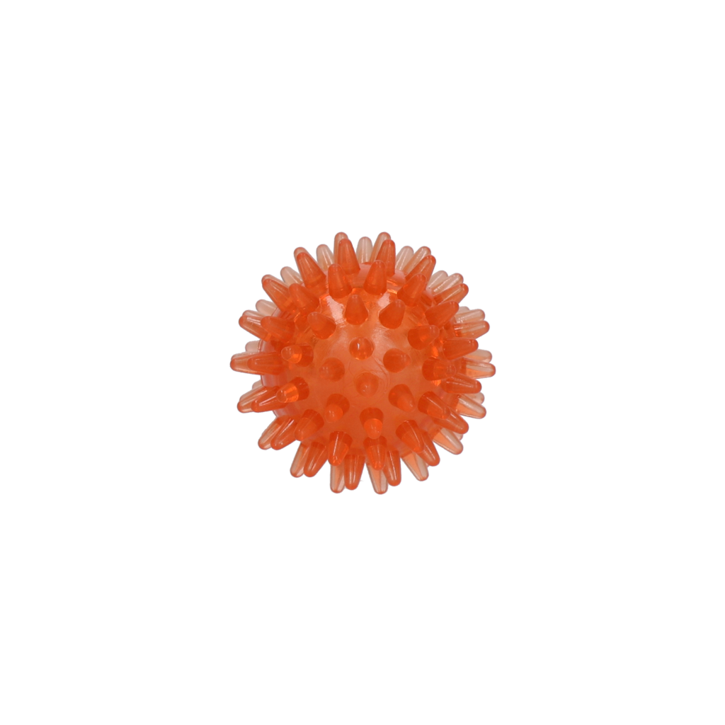 Dog Comets Exoplanet Spiky Ball