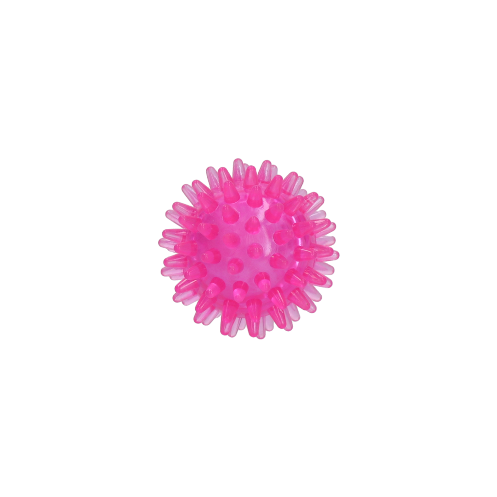 Dog Comets Exoplanet Spiky Ball