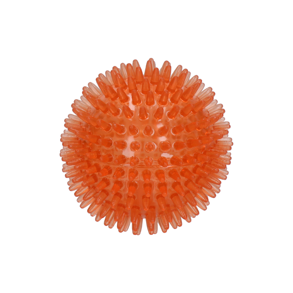 Dog Comets Exoplanet Spiky Ball