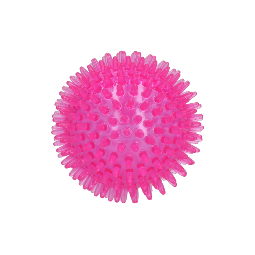 Dog Comets Exoplanet Spiky Ball