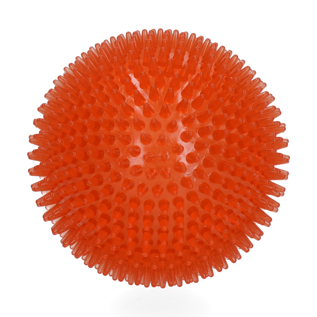 Dog Comets Exoplanet Spiky Ball