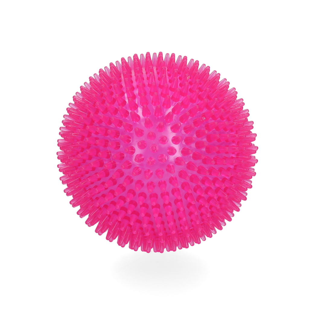 Dog Comets Exoplanet Spiky Ball