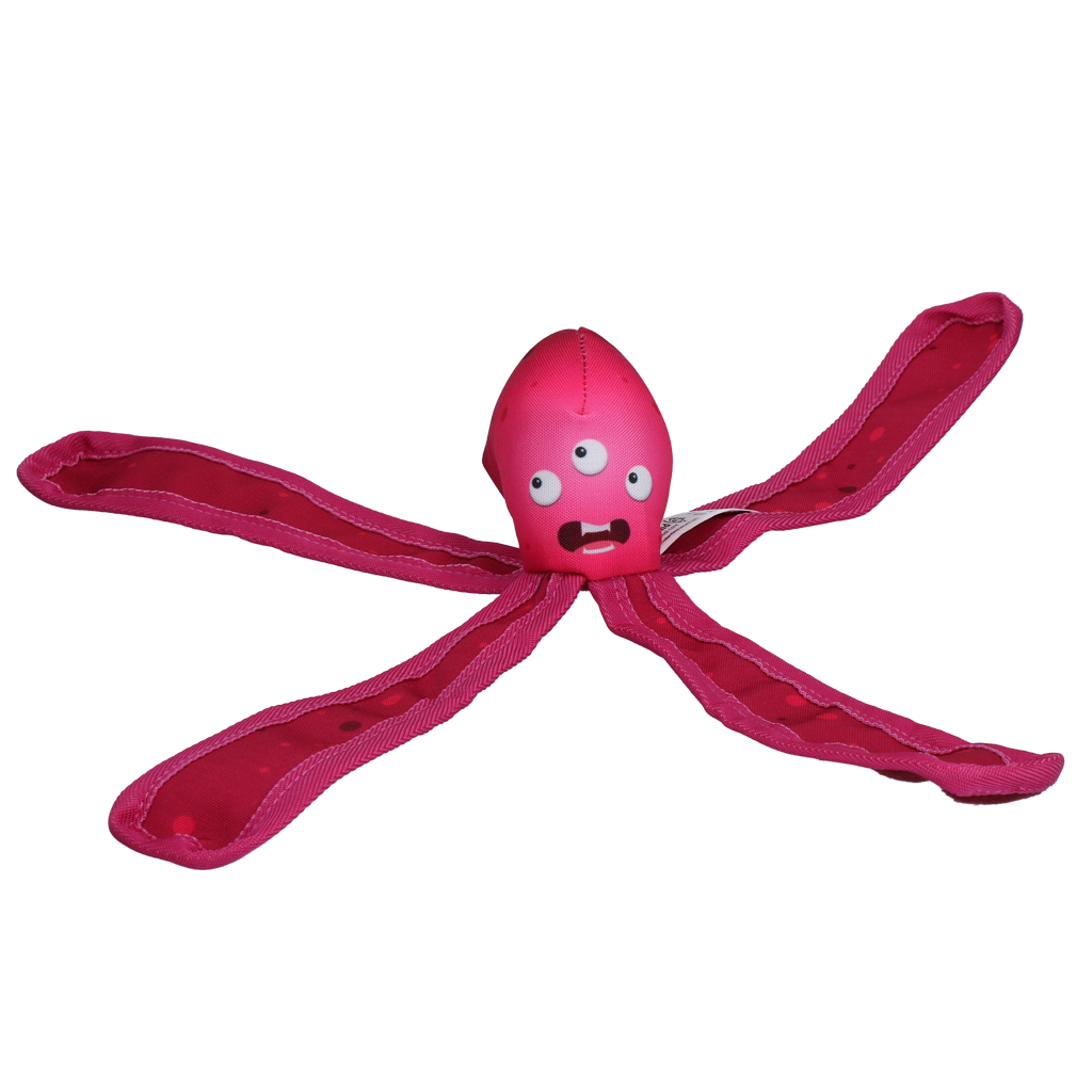 Dog Comets Alien Octo