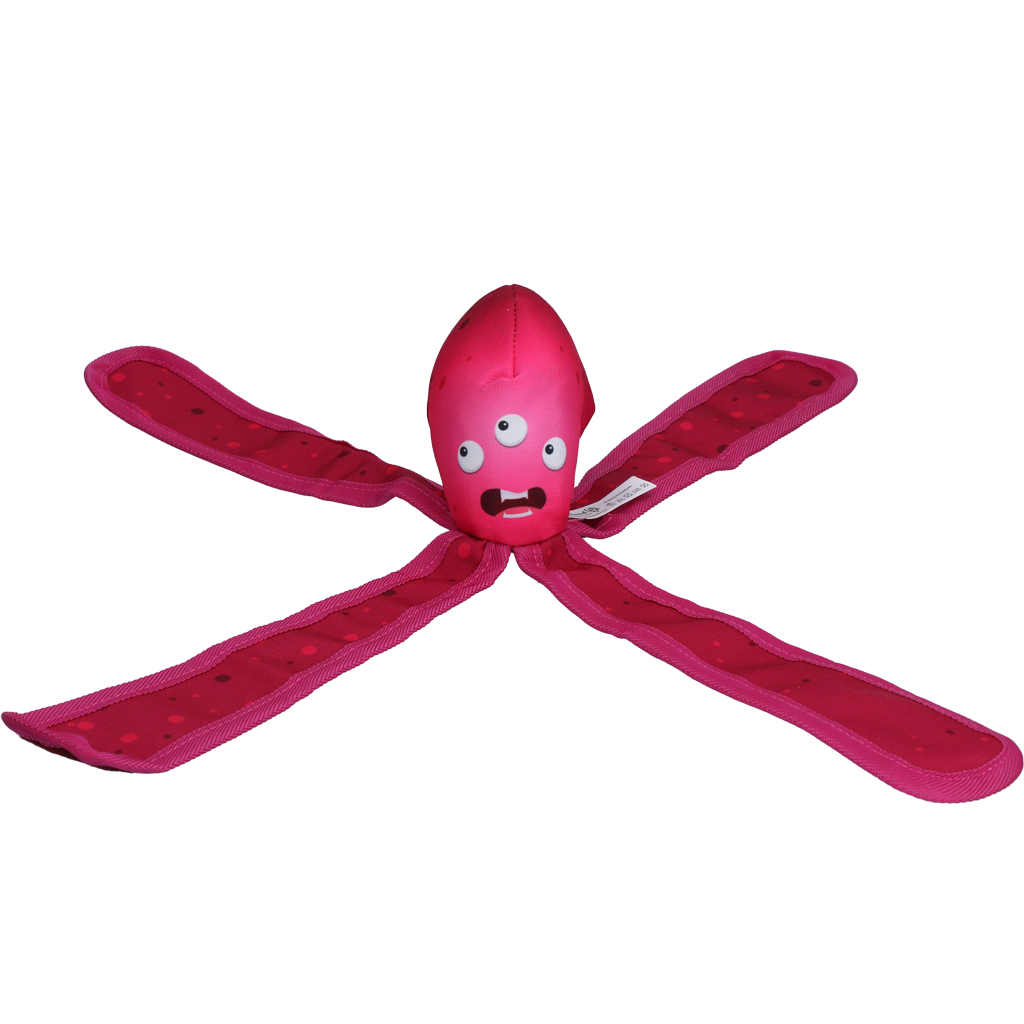 Dog Comets Alien Octo