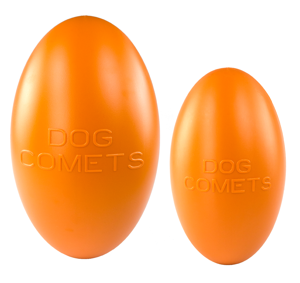 Dog Comets Pan-Stars