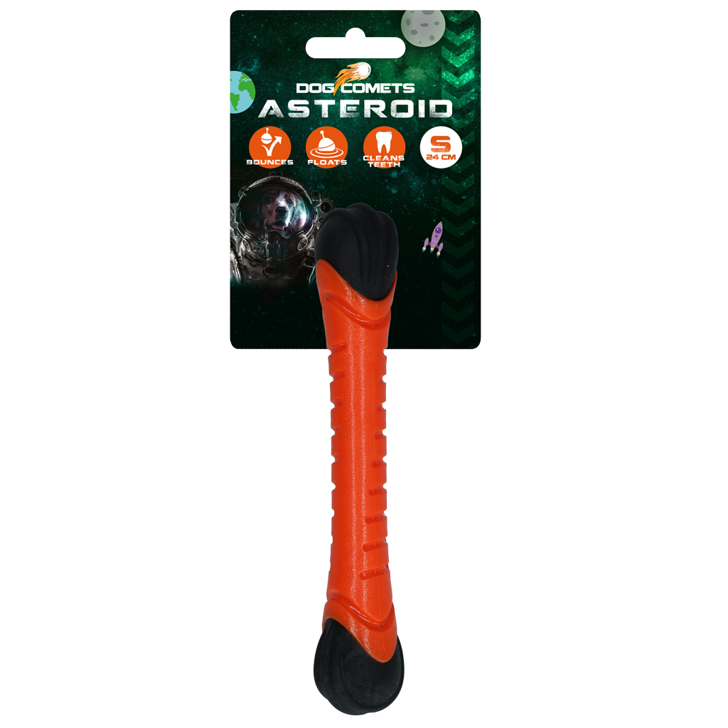 Dog Comets Asteroid Fetch Stick