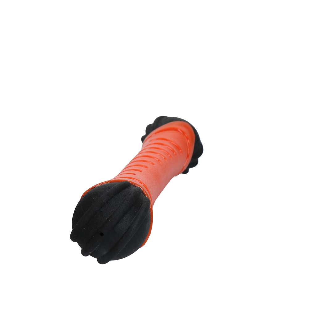 Dog Comets Asteroid Fetch Stick