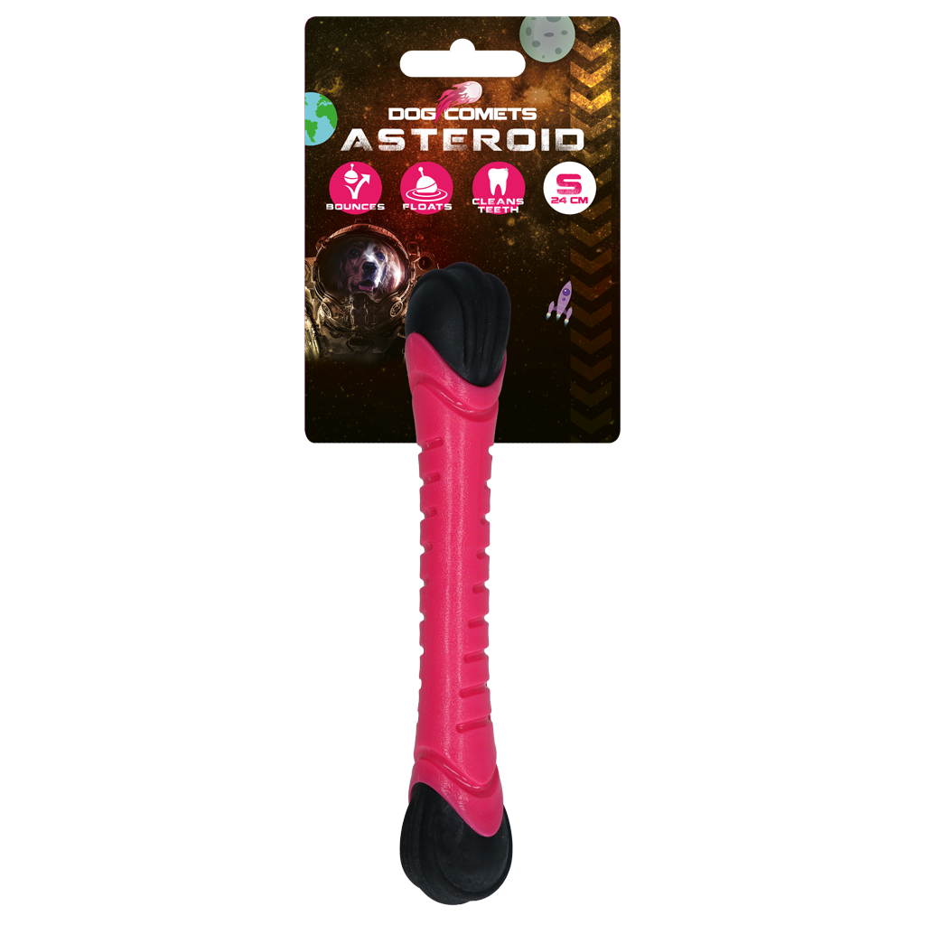 Dog Comets Asteroid Fetch Stick